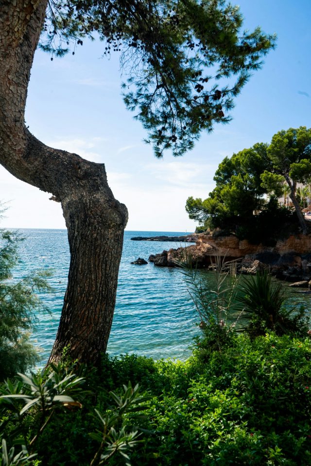 Die Bucht von Santa Ponsa im Südwesten von Mallorca