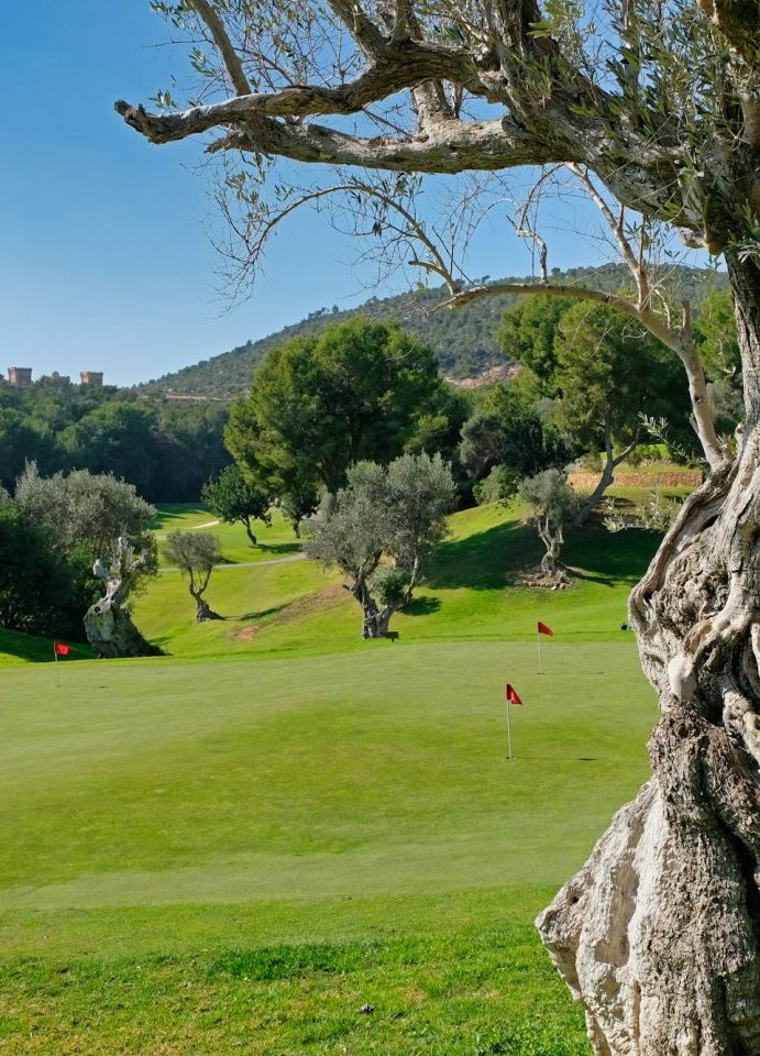 Golf nahe Sa Torre auf der Insel Mallorca