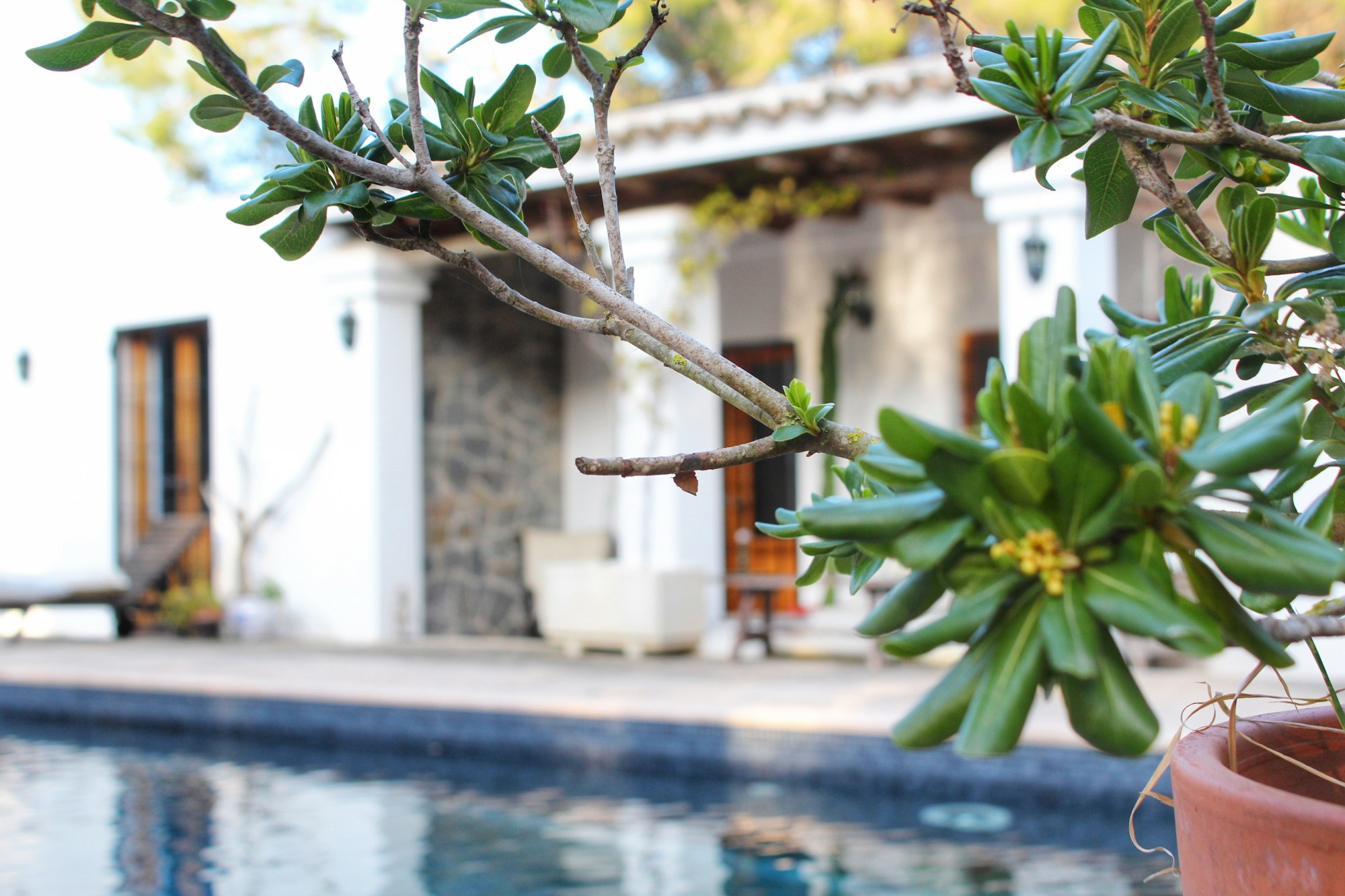 Immobilie in Sa Torre auf Mallorca rustikale Villa mit Pool